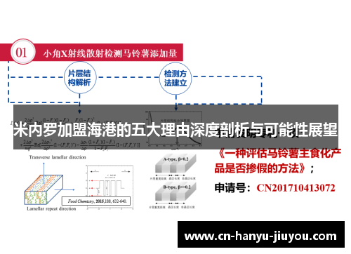 米内罗加盟海港的五大理由深度剖析与可能性展望
