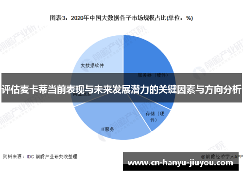 评估麦卡蒂当前表现与未来发展潜力的关键因素与方向分析